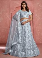 Butterfly Net Grey Ceremonial Wear Embroidery Work Lehenga Choli